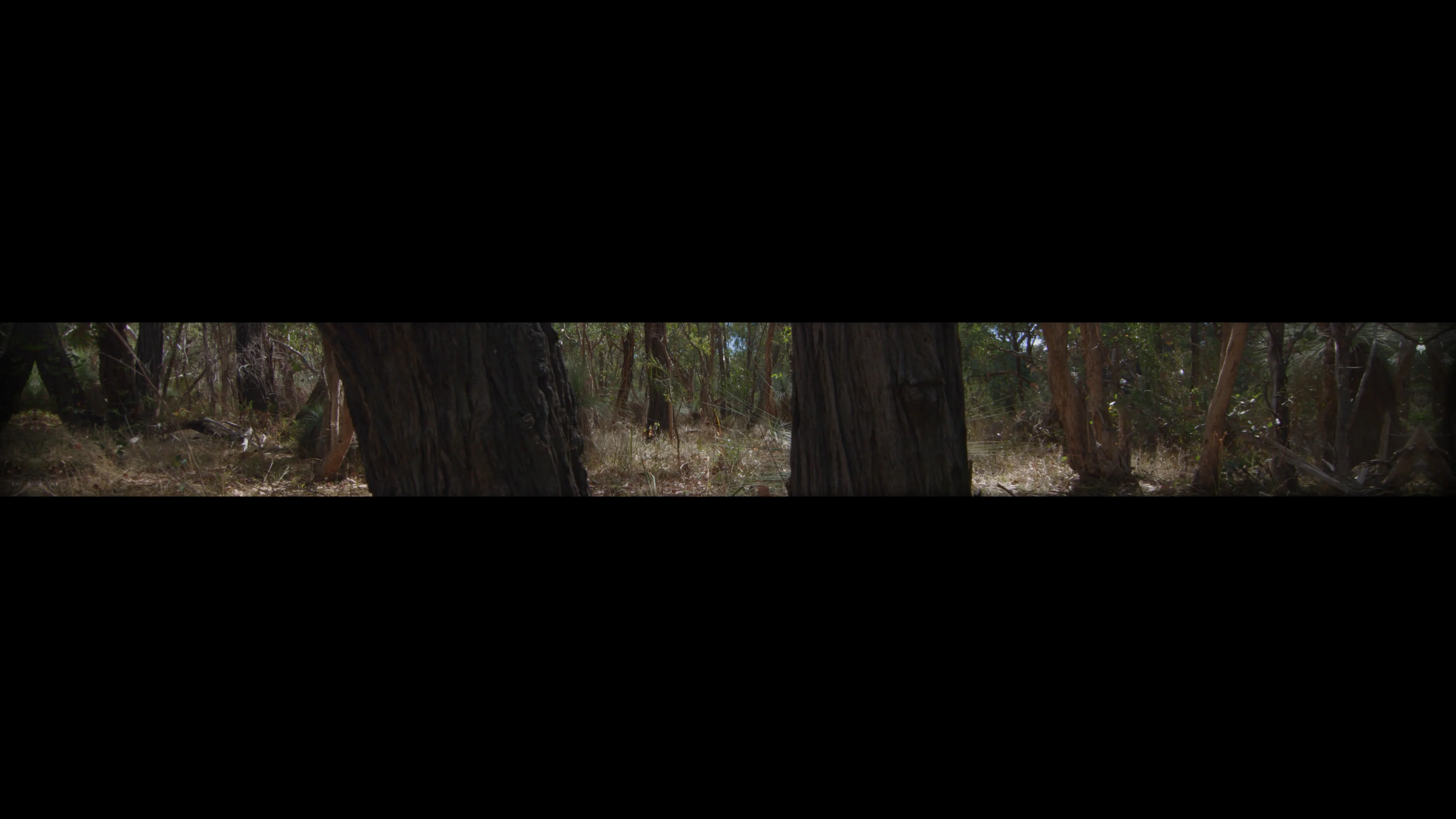 The Contest For land 03_Contest for Land_Squatters_Preview_01 on Vimeo