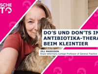 Do's and Don'ts in der Antibiotika-Therapie beim Kleintier (DE)