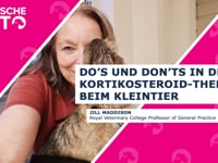 Do's und Don'ts in der Kortikosteroid-Therapie beim Kleintier (DE)