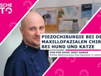 Piezochirugie bei der maxillofazialen Chirugie bei Hund und Katze