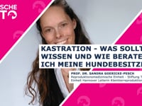 Kastration - Was sollte ich wissen und wie berate ich meine Hundebesitzer?