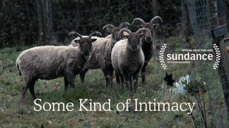 Intimacy (2022) - Filmaffinity