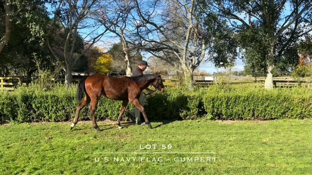 Lot 59