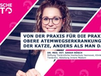 Von der Praxis für die Praxis - Obere Atemwegserkrankungen der Katze, anders als man dachte