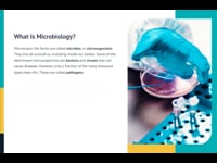 Introduction to Microbiology