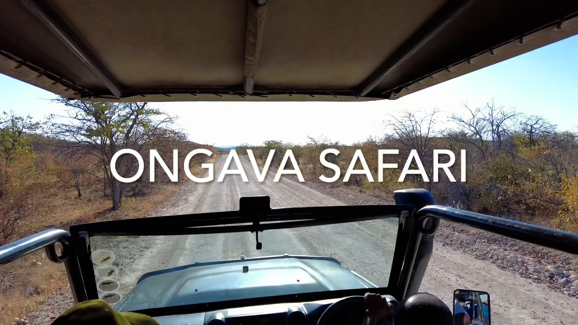 Ongava Reserve Safari, Etosha, Namibia