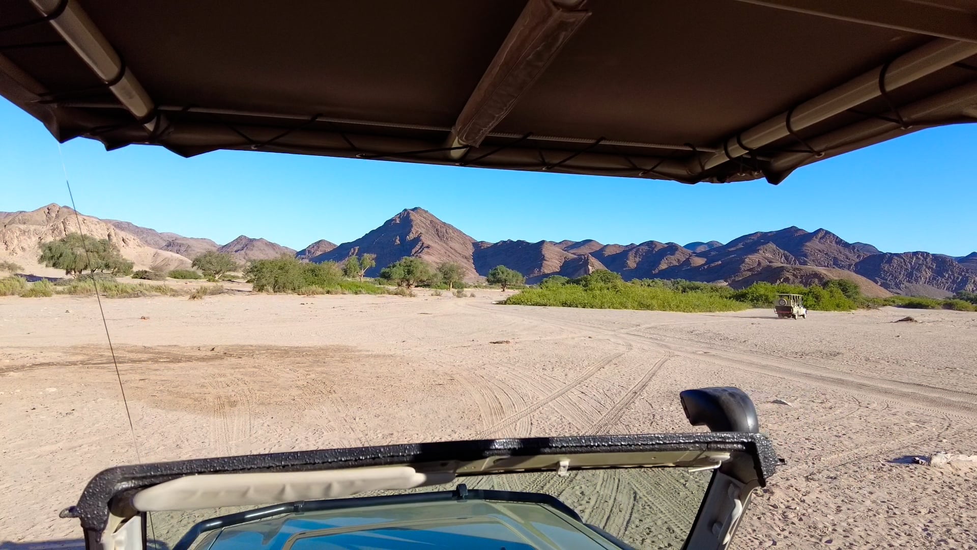 Desert Adapted Elephants, Hoanib Valley, Namibia