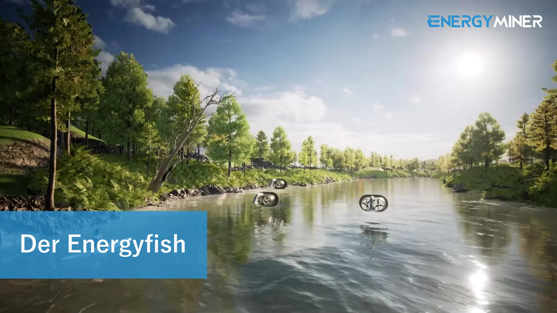 Der Energyfish in Konzept und Aktion