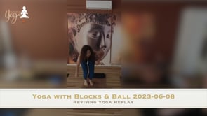 Yoga with Blocks & Tennisball 2023-06-08