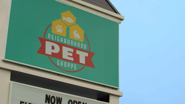 Cat Adoption  Neighborhood Pet Shoppe