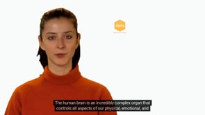 The relationship between brain chemicals and brainwave patterns