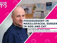 Piezosurgery in maxillofacial surgery in dog and cat (EN)