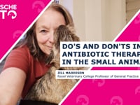 Do's and don'ts in the antibiotic therapy in the small animal (EN)