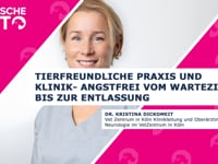 Tierfreundliche Praxis und Klinik - Angstfrei vom Wartezimmer bis zur Entlassung