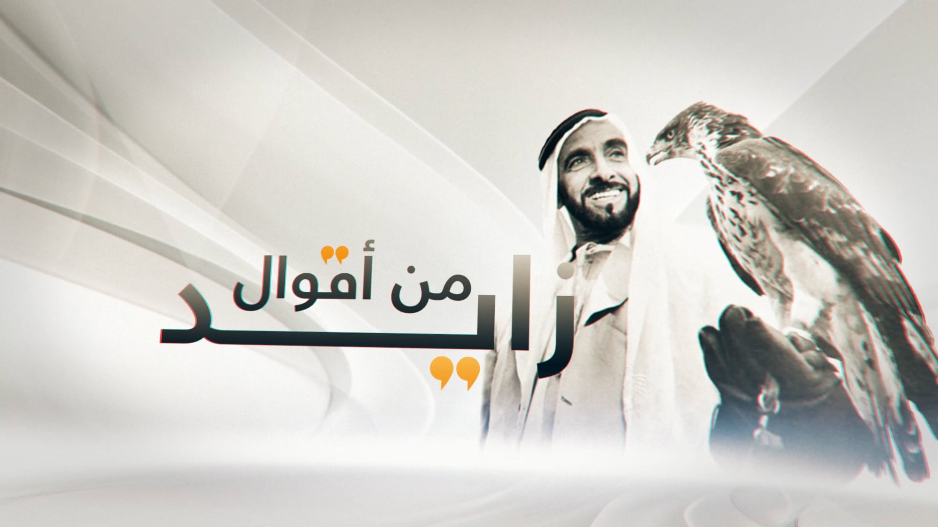 zayed quotes