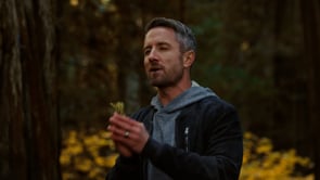 The Future You_On Demand