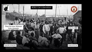 #382 Cel-Liberation