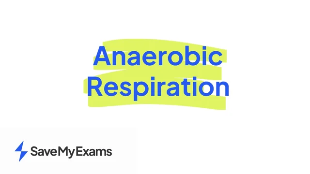 2.38 Anaerobic Respiration Word Equation | Edexcel IGCSE Biology: Double  Science Revision Notes 2019 | Save My Exams