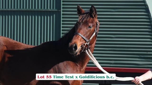 Lot 55