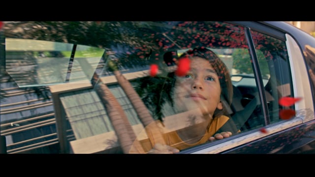 Sanita Brand Film