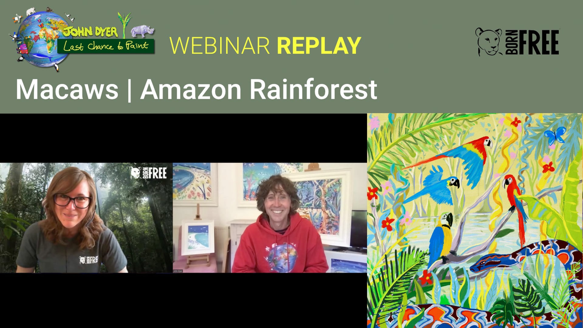 Paint and learn about macaws in the Amazon rainforest