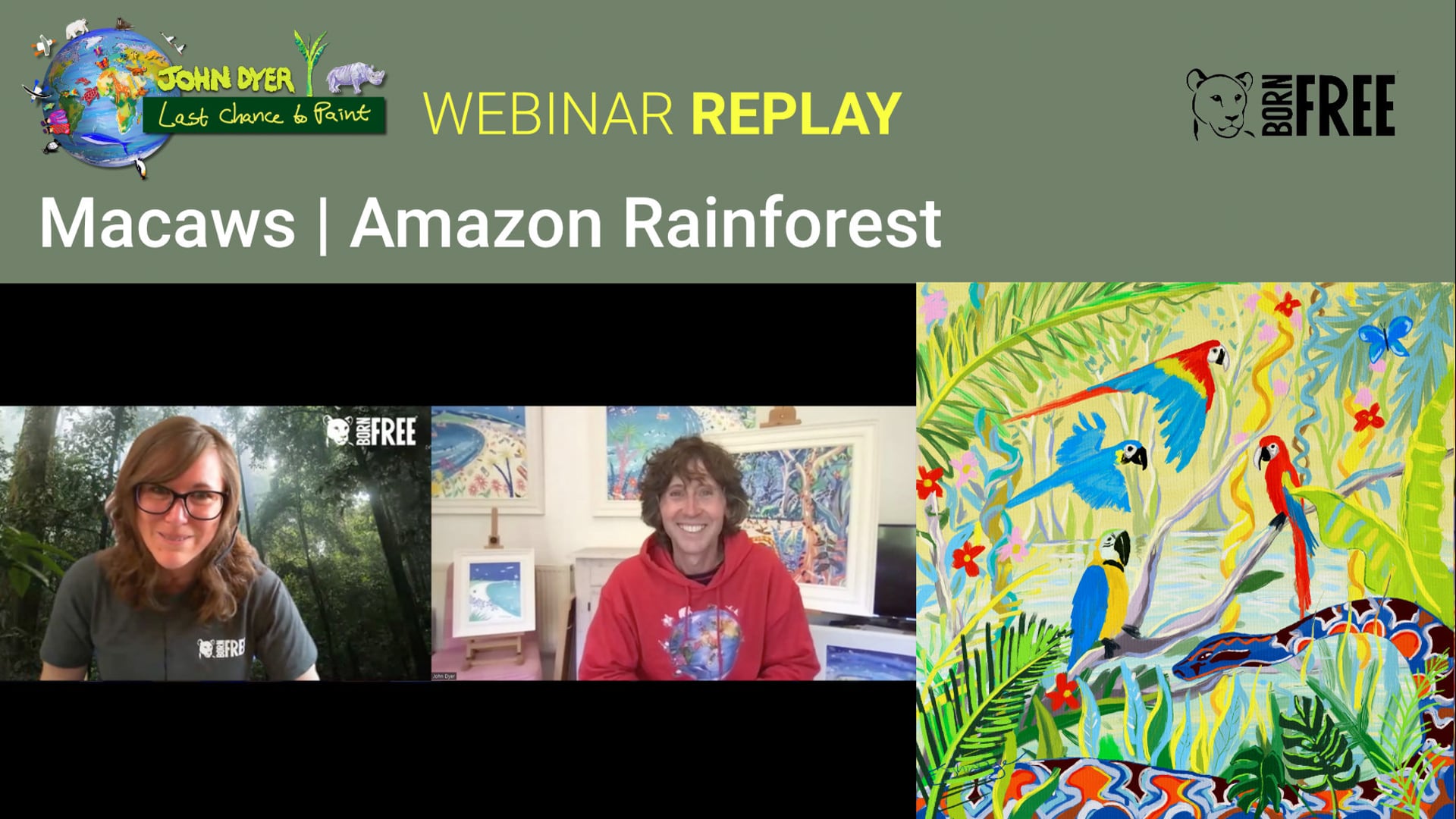 Paint and learn about macaws in the Amazon rainforest