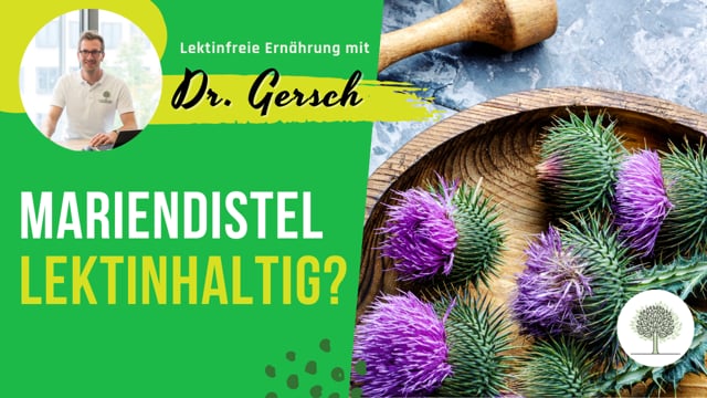 Ist Mariendistel lektinhaltig? 