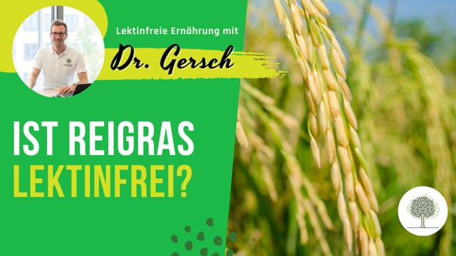 Ist Reigras lektinfrei?