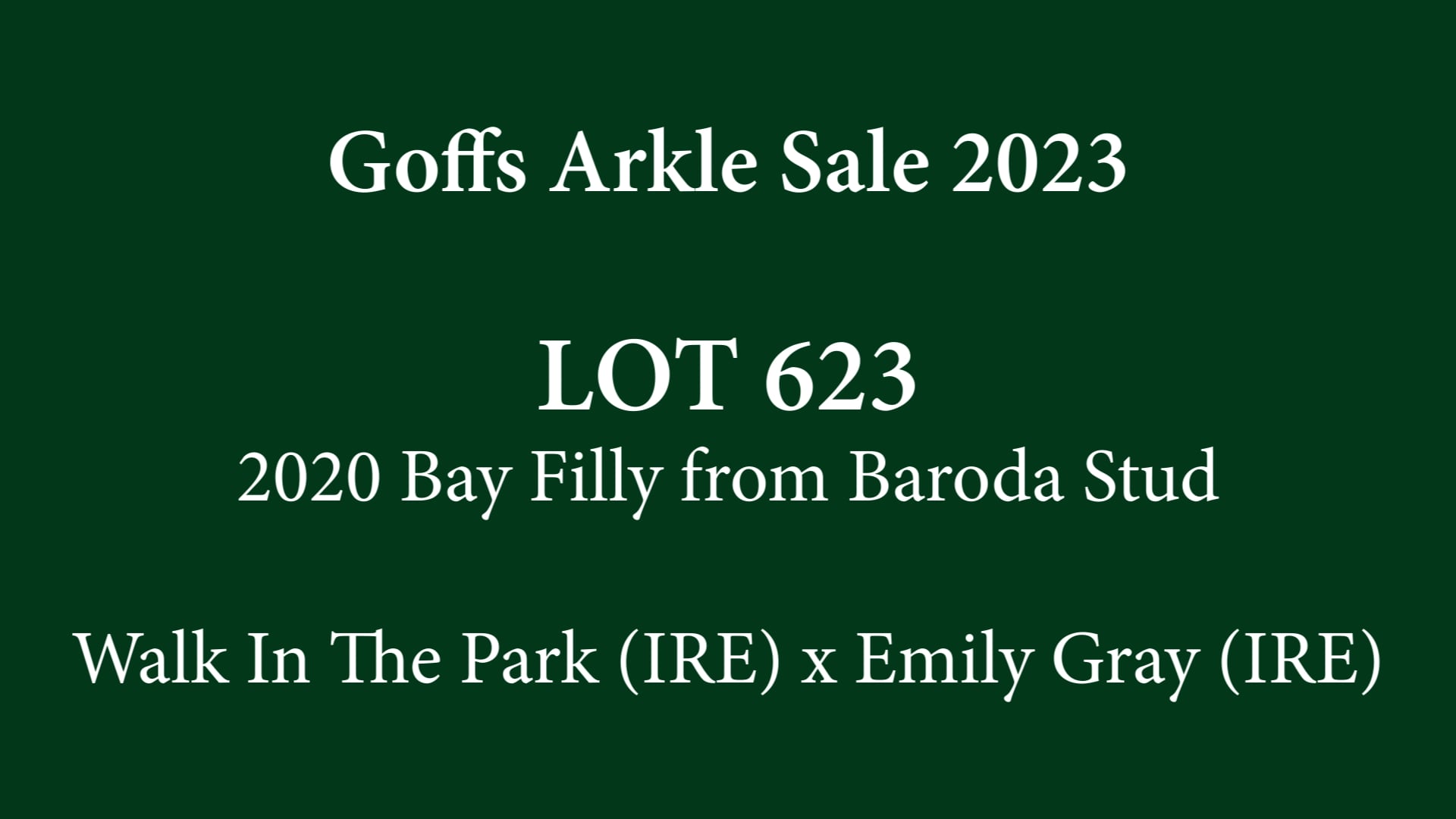 Goffs Arkle Sale 2023 Lot 623 on Vimeo