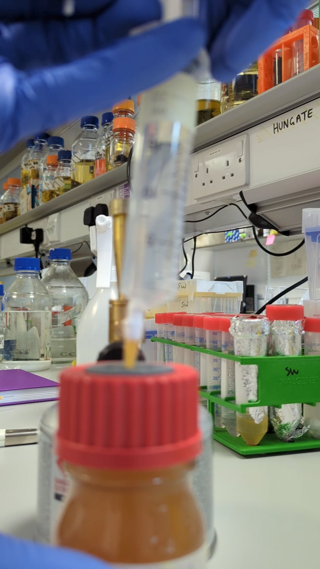 Pop test - Rhodobacter sphaeroides culture on Vimeo