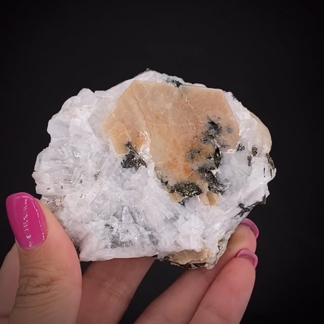 Tantalite-(Fe) with Cassiterite, Albite and Muscovite - RARE15-115