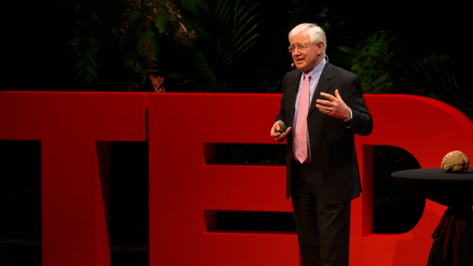 Sir Richard Faull TedTalk (Extract)