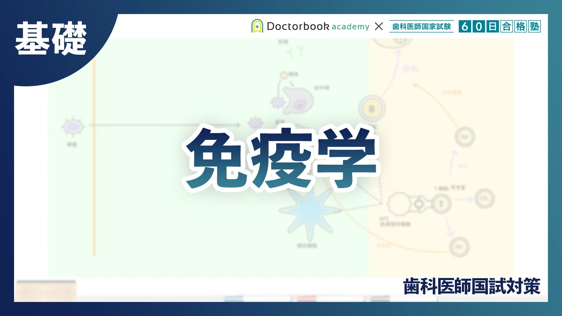 第117回歯科医師国家試験問題解説書 | DES歯学教育スクール |本