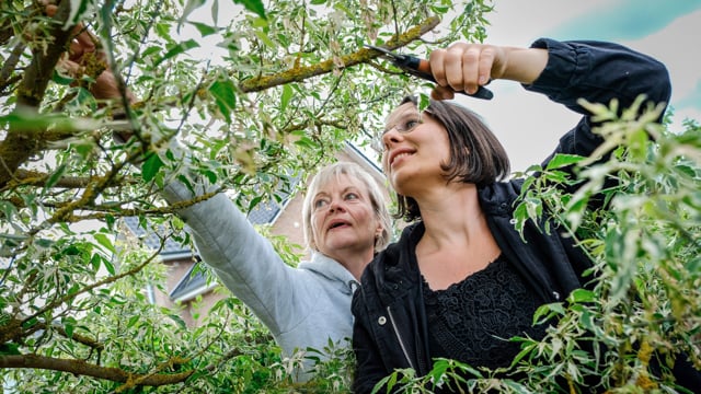 Klimakrise: Wie retten wir den Garten?