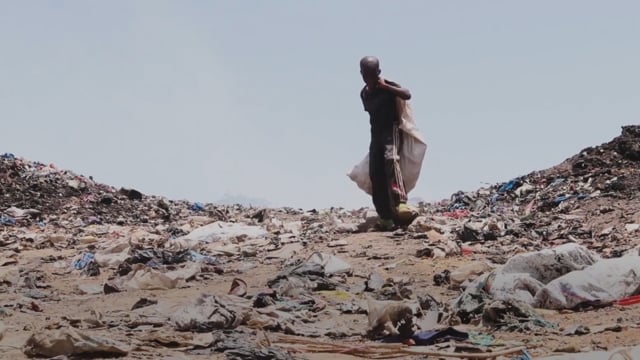 Survivre parmi les déchets - Vidéo ePOP