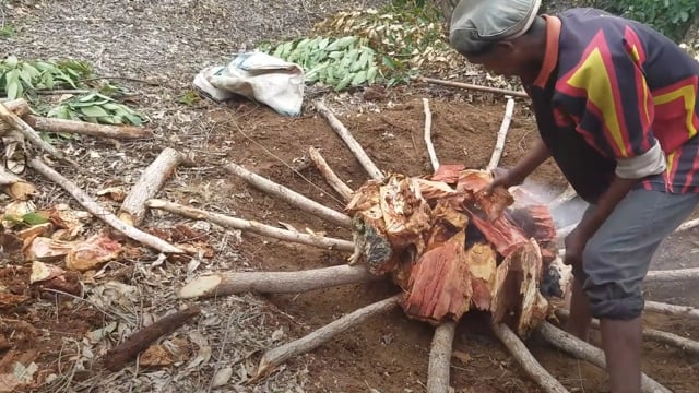 Le charbon et ses hommes - Vidéo ePOP