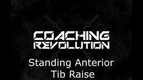 Standing Anterior Tib Raise