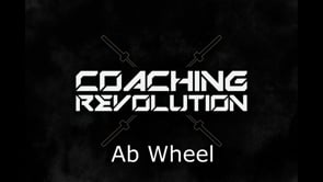 Ab Wheel