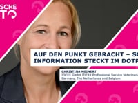 Auf den Punkt gebracht - So viel Information steckt im Dotplot