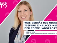 Was verrät die Niere - Tiefere Einblicke mit dem IDEXX Laborportfolio