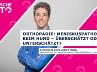 Orthopädie: Meniskuspathologie beim Hund - Überschätzt oder unterschätzt?