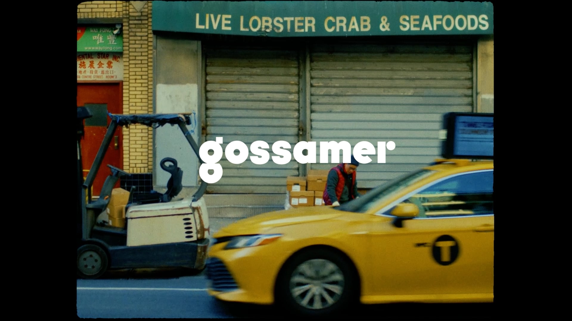 Iakoe X Gossamer