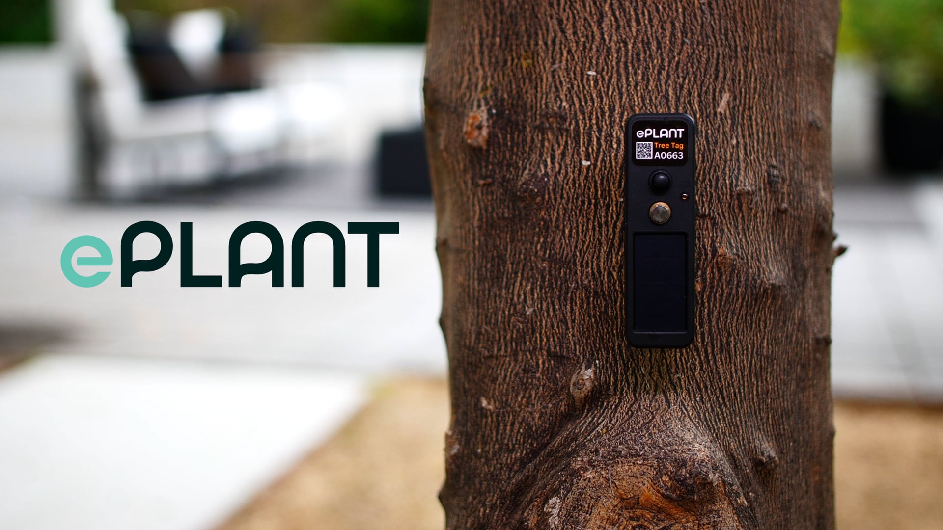 ePlant TreeTag Launch Video