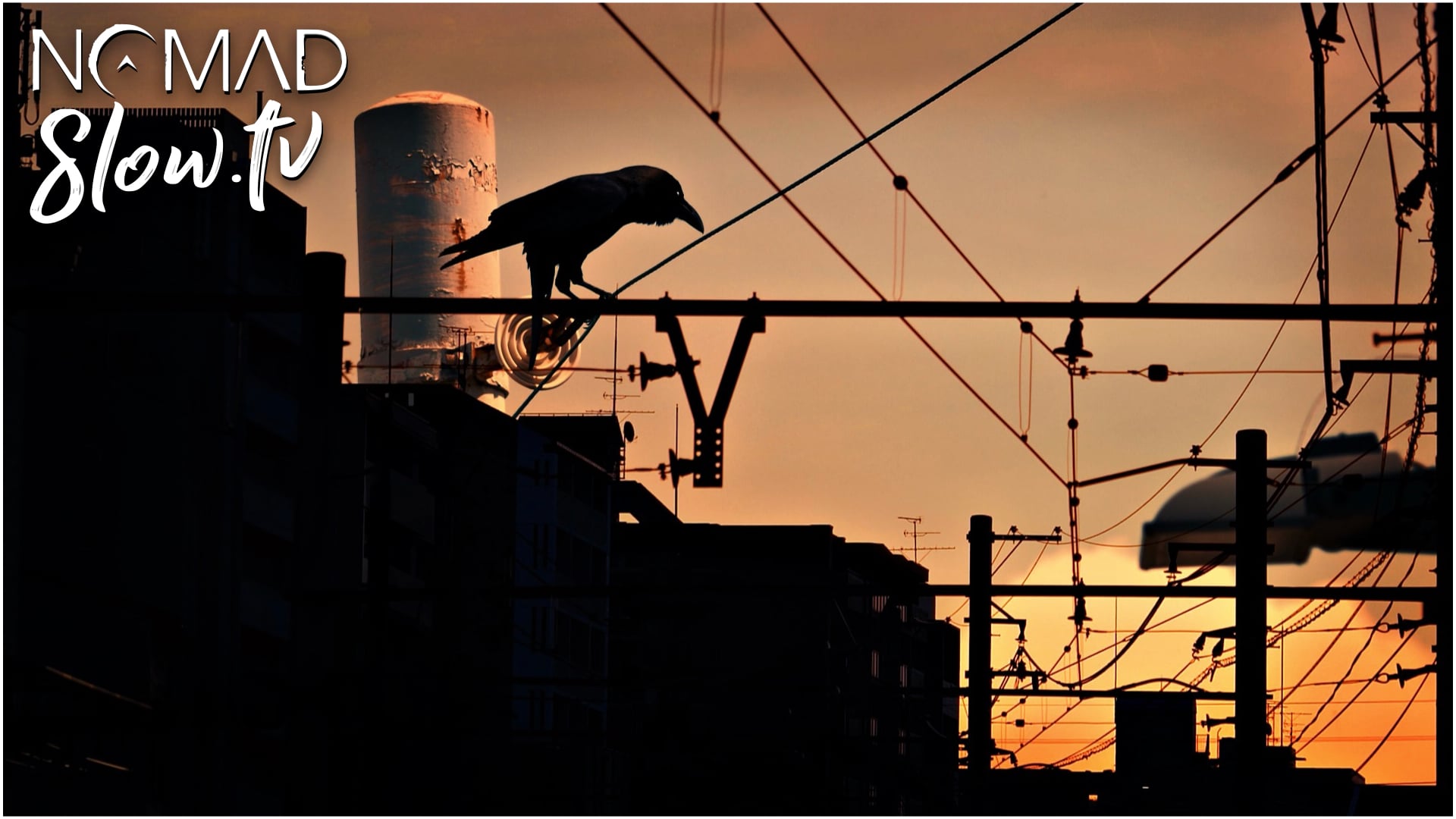 ANTENNAE Japan Trains