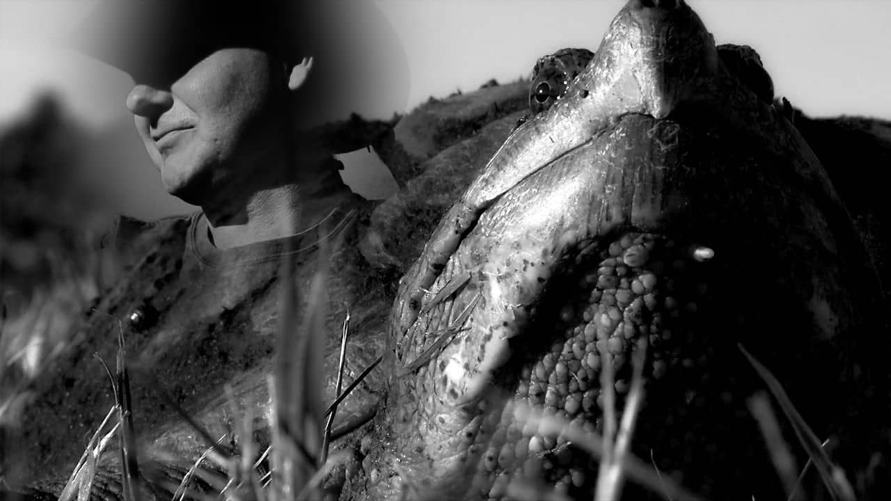 Turtle Man Live Action On Vimeo 