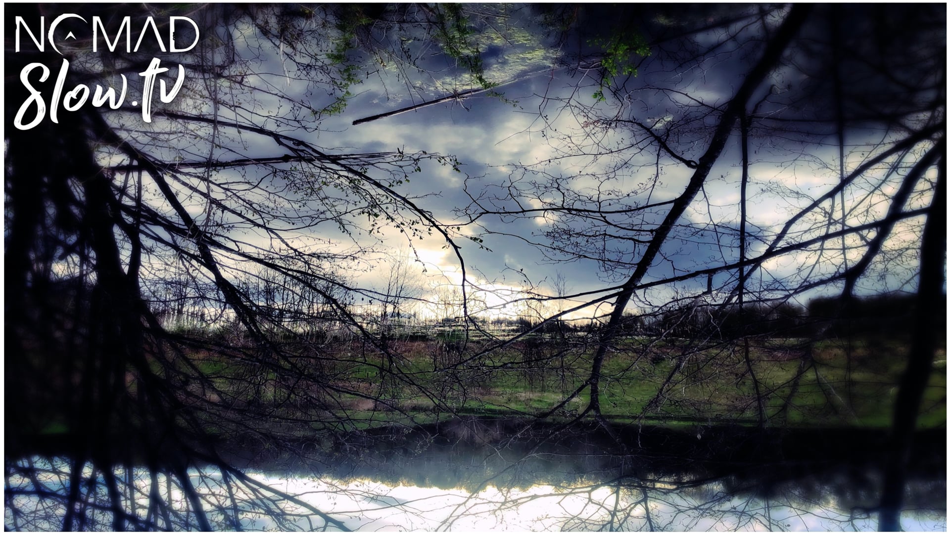 Tomifobia Reflection Overlay - Shinya Sugimoto & Jeremy Young - Live at Microscope Gallery - 01 Movement 1