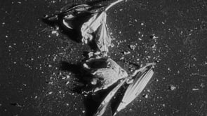 Sfregiato ‘ScarredWounds’ - killyourdarlings - 