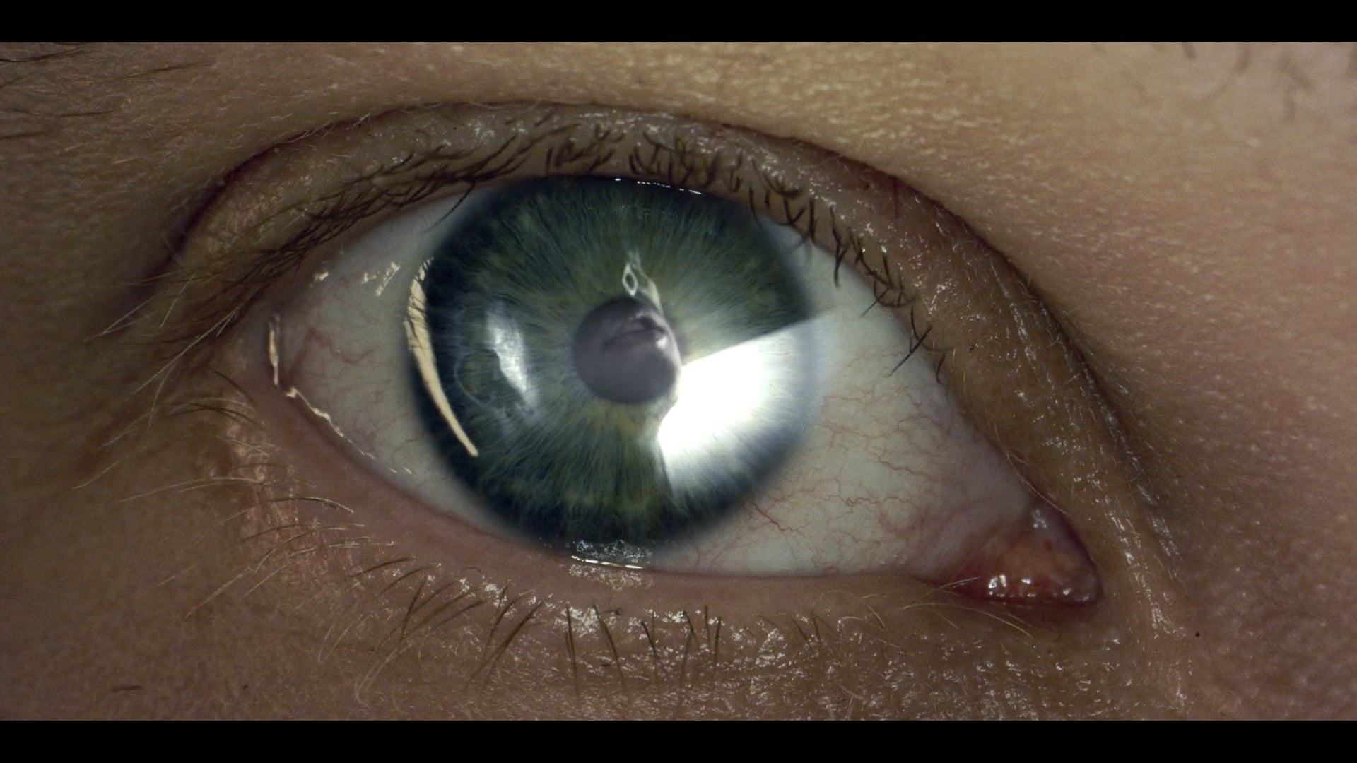 We Are Not Back. We Never Left. (2022)