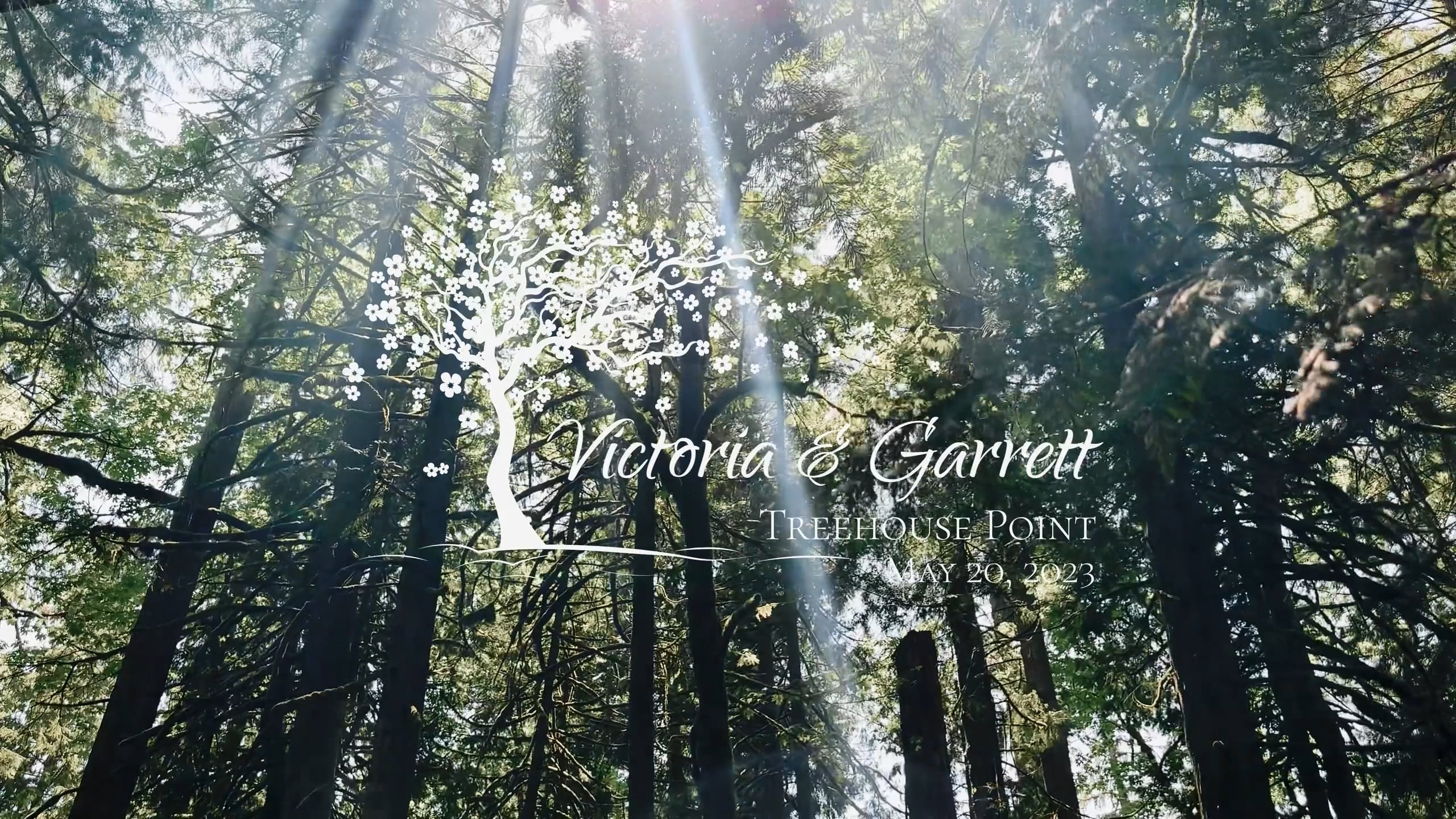Victoria + Garrett_TreeHouse Point