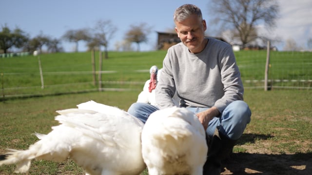 Tiere retten statt Karriere